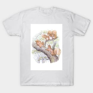 Beatrix Potter - Squirrel Nutkin T-Shirt